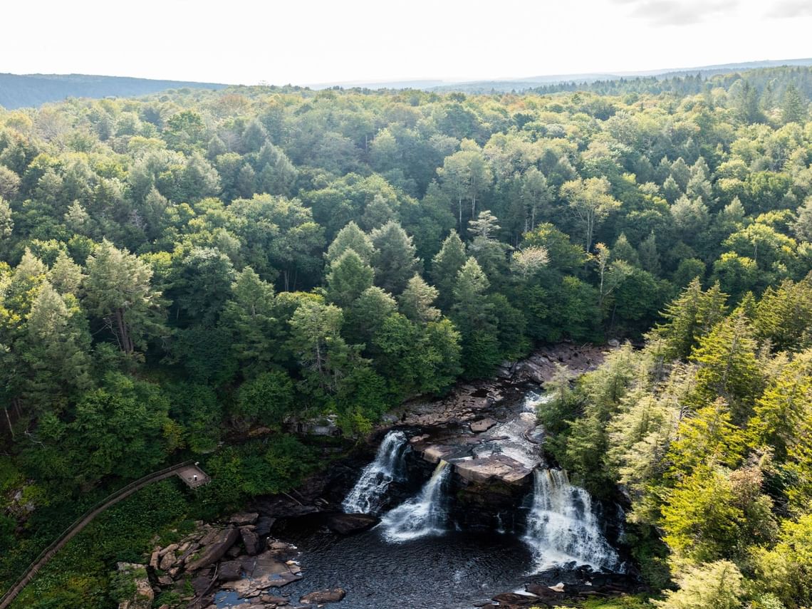 Spring — Waterfalls & wildflowers