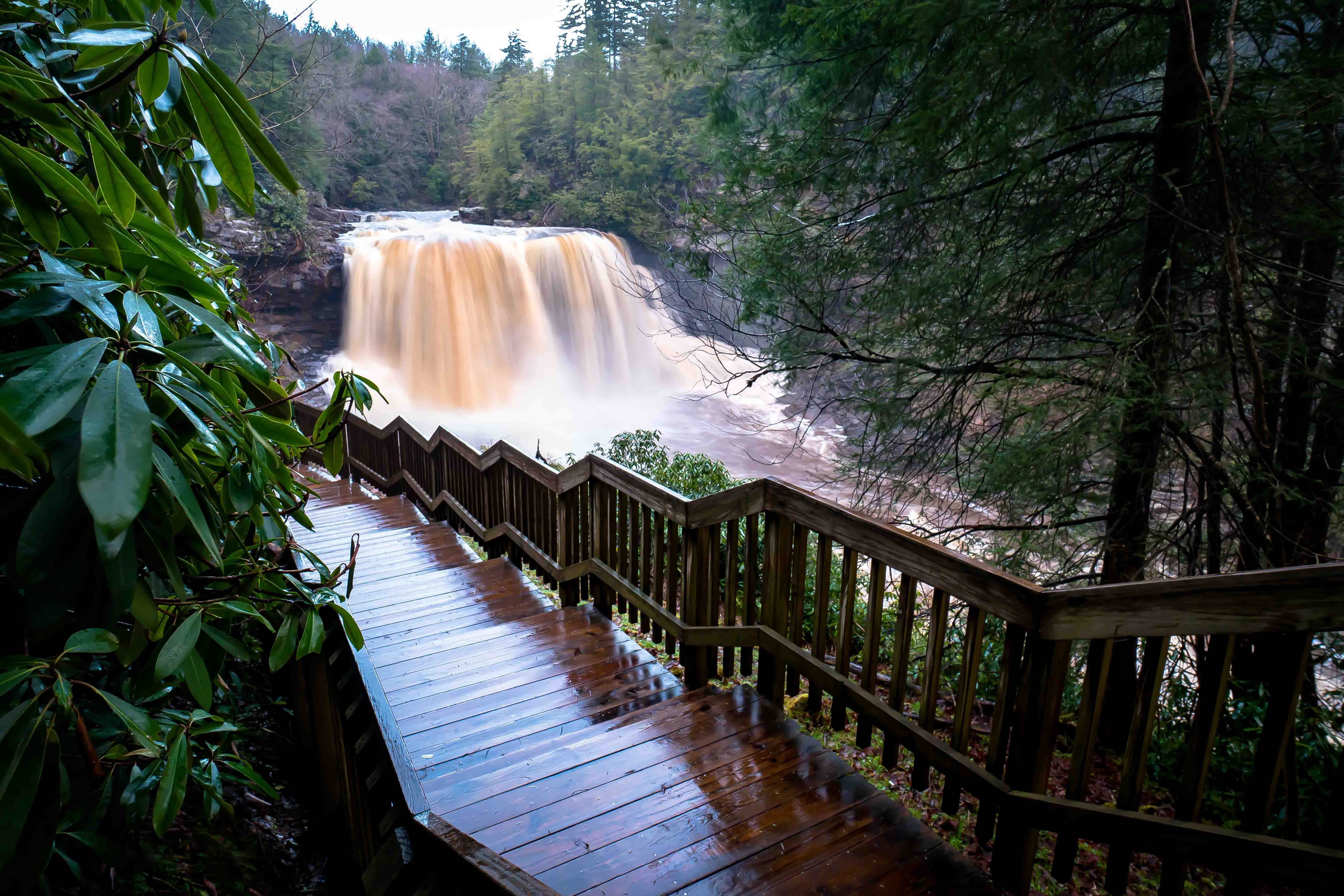 Blackwater Falls State Park